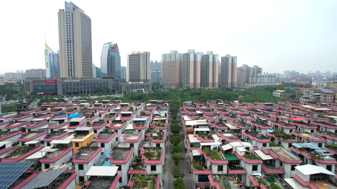 PA旗舰厅(中国区)官方网站 - PlayAce