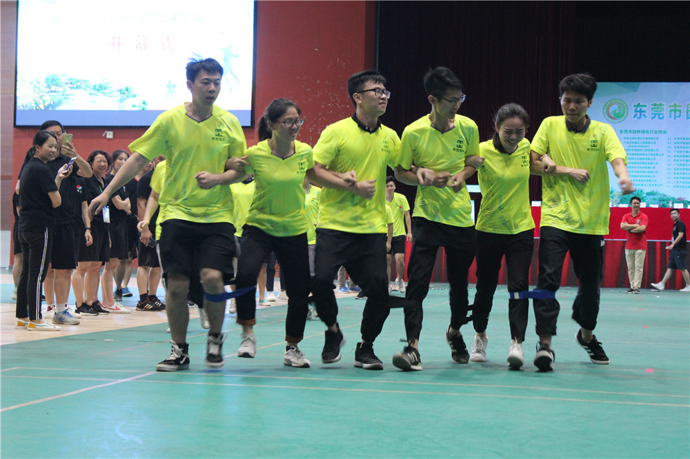 PA旗舰厅(中国区)官方网站 - PlayAce