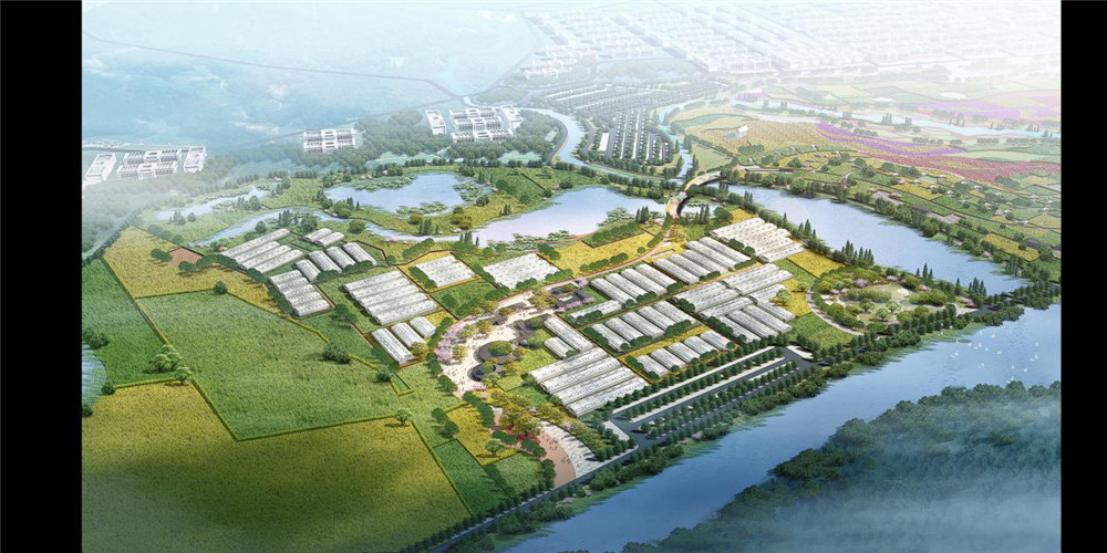 PA旗舰厅(中国区)官方网站 - PlayAce