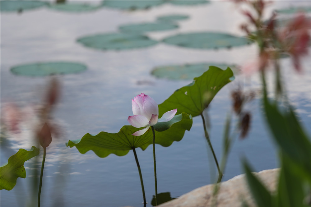 PA旗舰厅(中国区)官方网站 - PlayAce