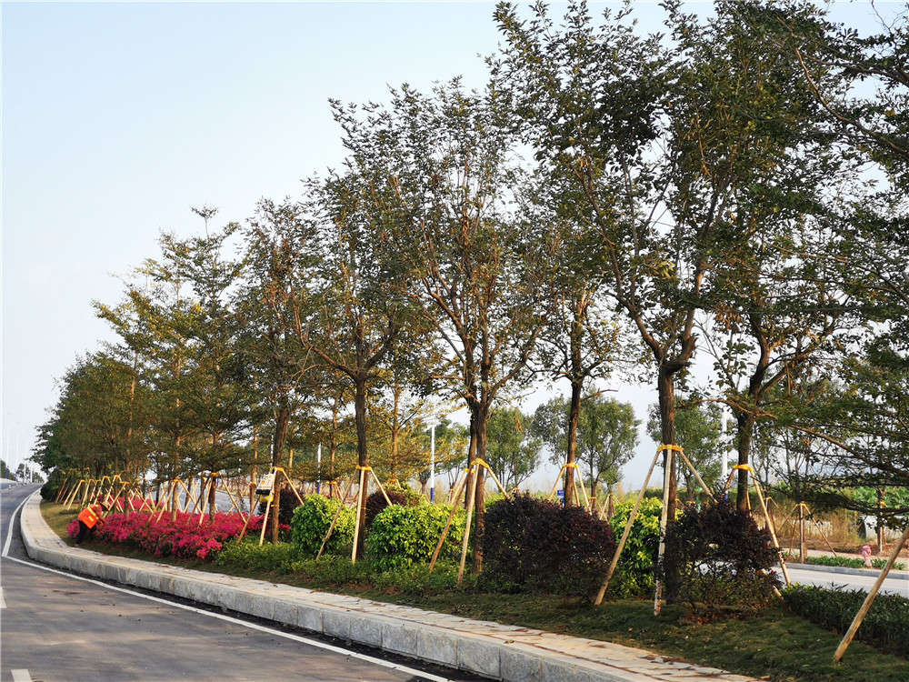 PA旗舰厅(中国区)官方网站 - PlayAce