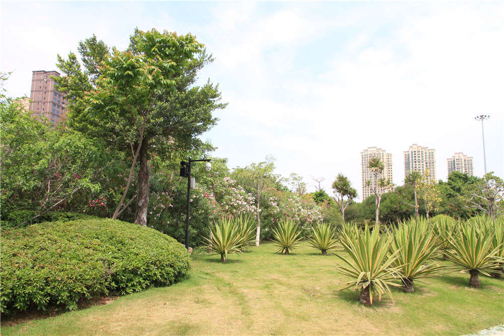 PA旗舰厅(中国区)官方网站 - PlayAce