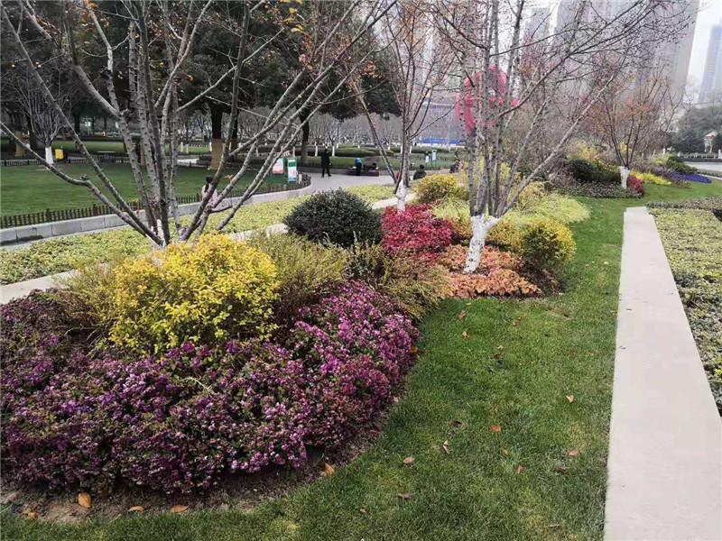 PA旗舰厅(中国区)官方网站 - PlayAce