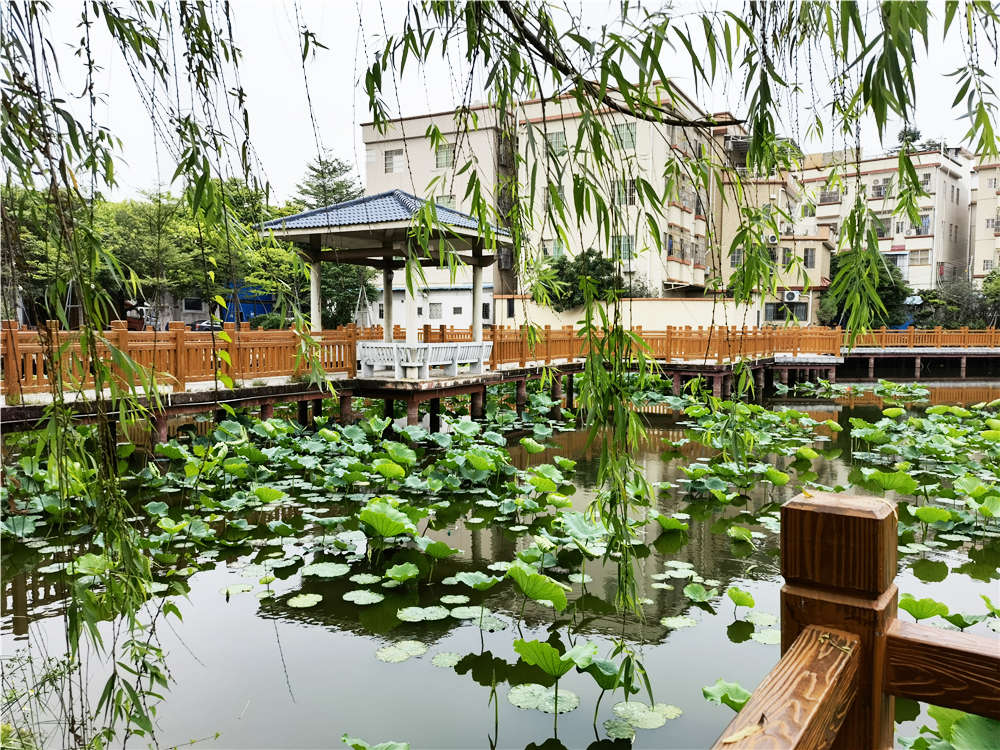 PA旗舰厅(中国区)官方网站 - PlayAce