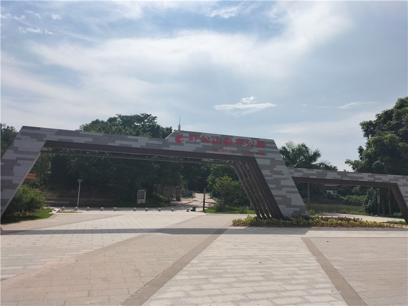 PA旗舰厅(中国区)官方网站 - PlayAce