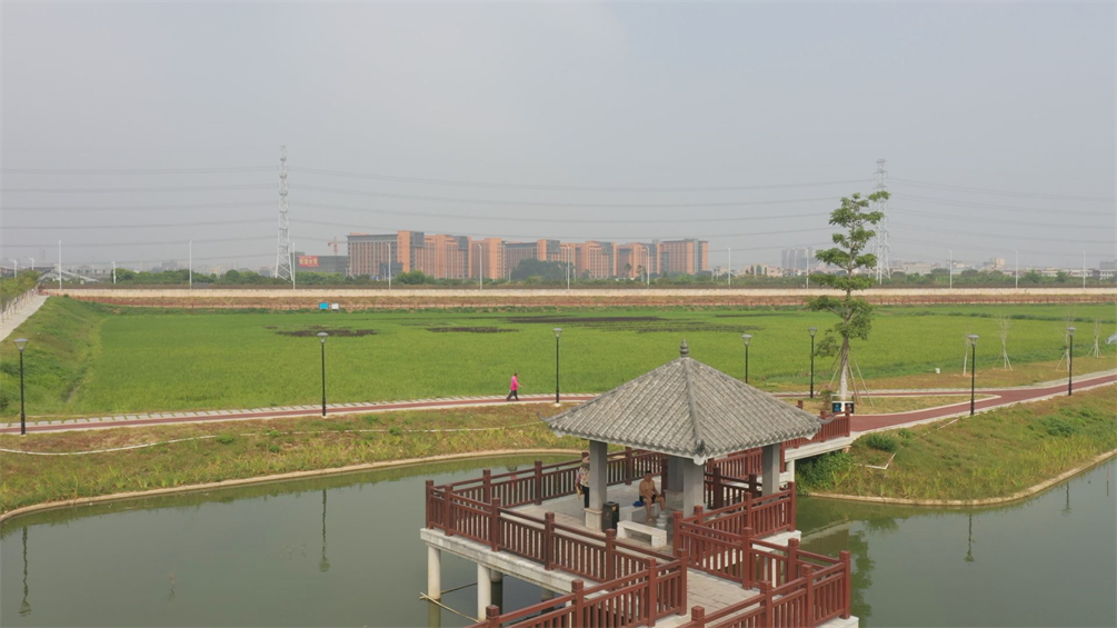 PA旗舰厅(中国区)官方网站 - PlayAce