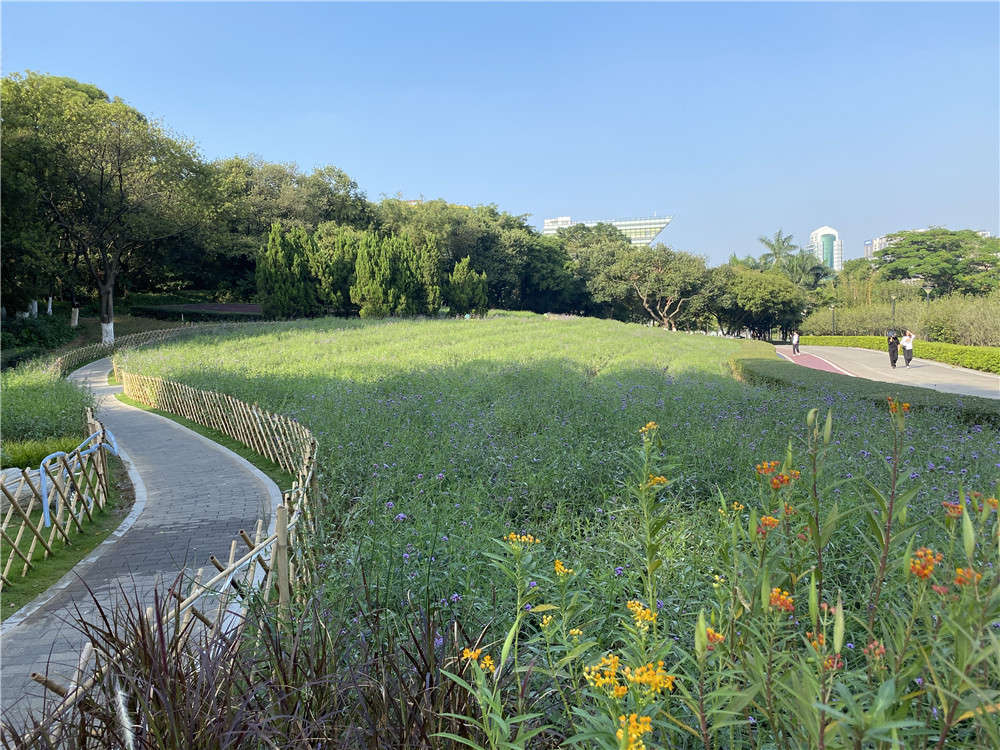 PA旗舰厅(中国区)官方网站 - PlayAce