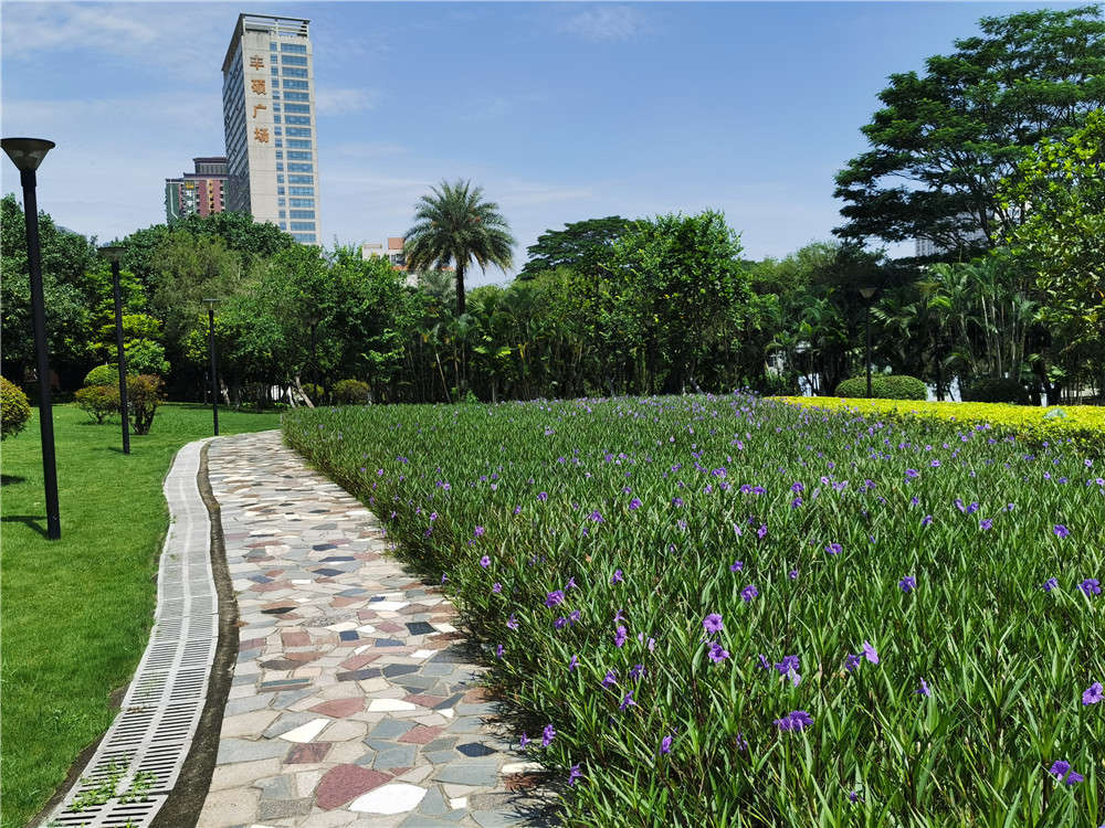 PA旗舰厅(中国区)官方网站 - PlayAce