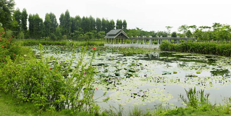 PA旗舰厅(中国区)官方网站 - PlayAce