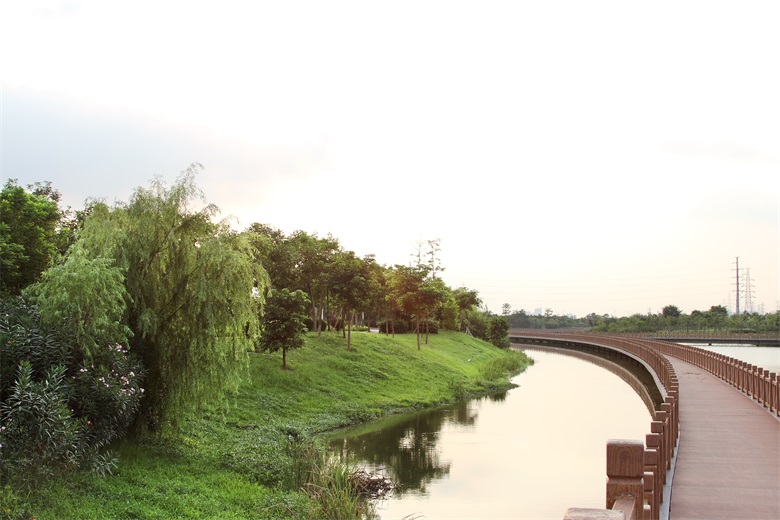 PA旗舰厅(中国区)官方网站 - PlayAce