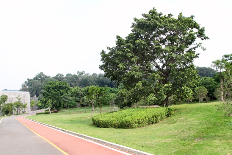 PA旗舰厅(中国区)官方网站 - PlayAce