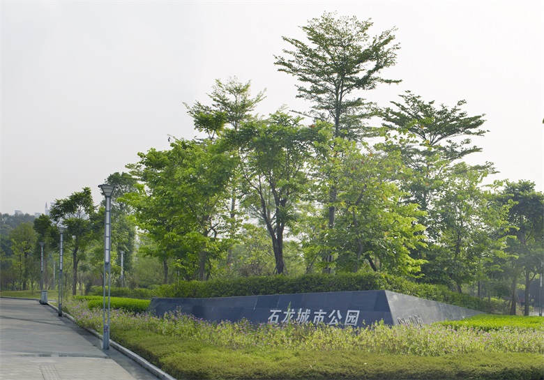 PA旗舰厅(中国区)官方网站 - PlayAce