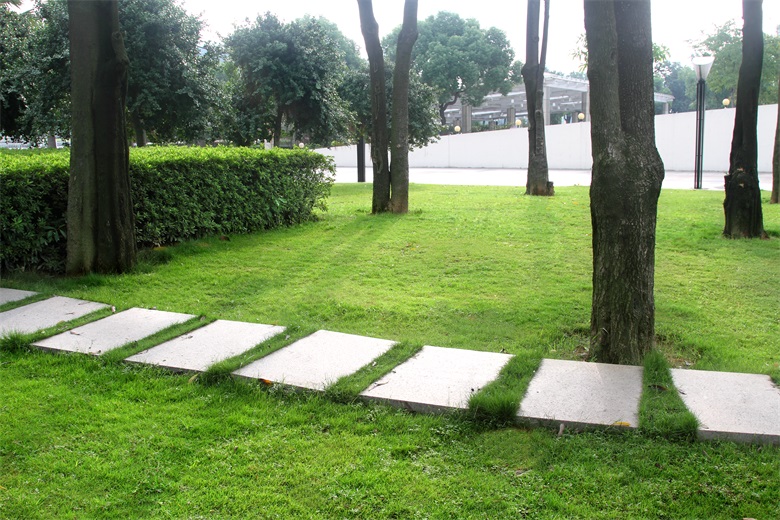 PA旗舰厅(中国区)官方网站 - PlayAce