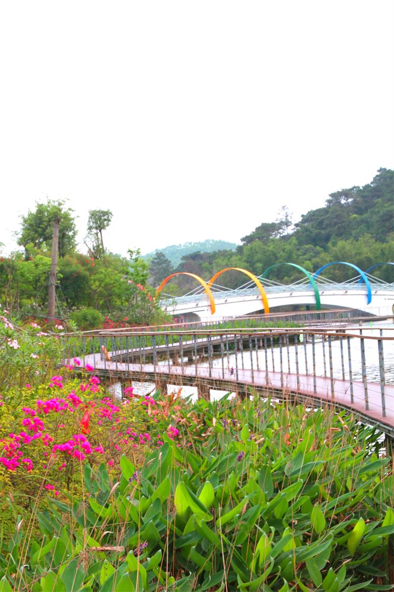 PA旗舰厅(中国区)官方网站 - PlayAce