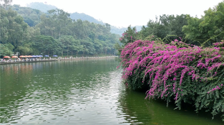 PA旗舰厅(中国区)官方网站 - PlayAce