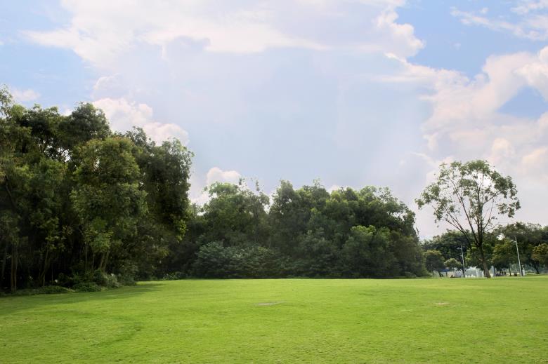 PA旗舰厅(中国区)官方网站 - PlayAce