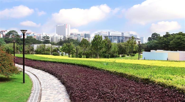 PA旗舰厅(中国区)官方网站 - PlayAce