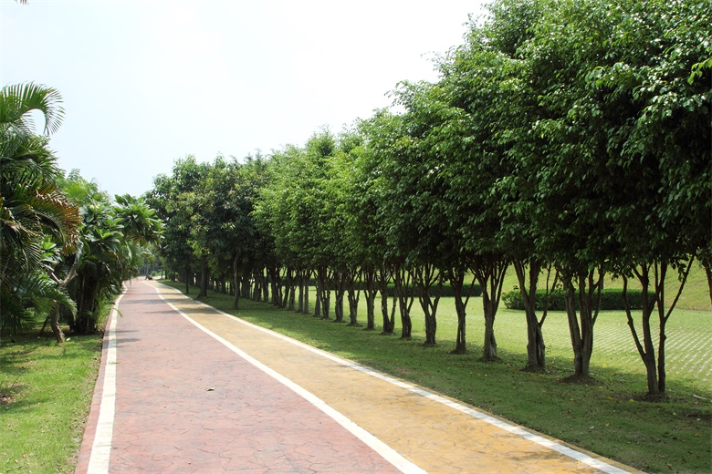 PA旗舰厅(中国区)官方网站 - PlayAce