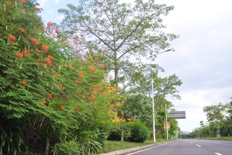 PA旗舰厅(中国区)官方网站 - PlayAce