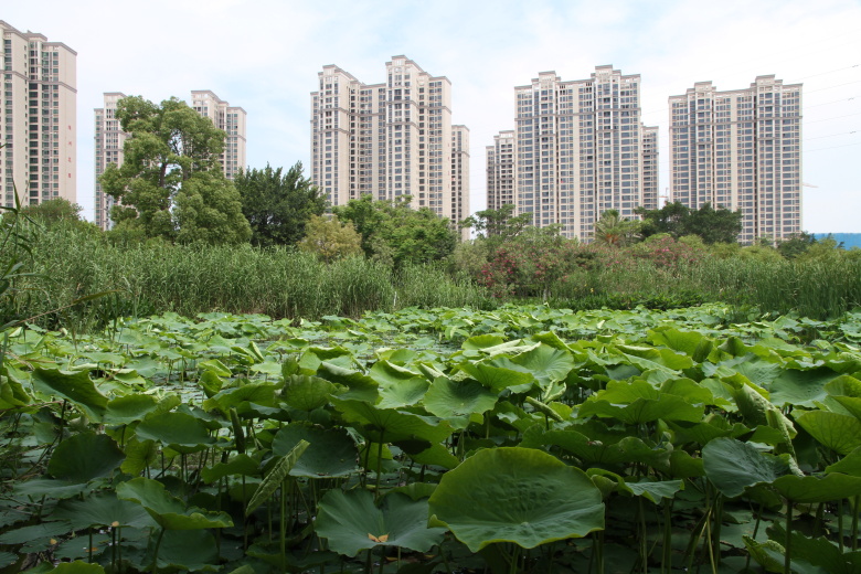 PA旗舰厅(中国区)官方网站 - PlayAce