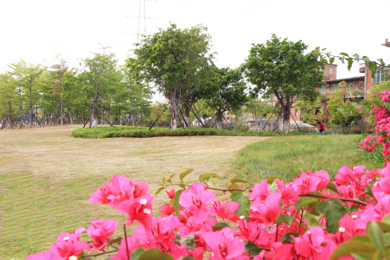 PA旗舰厅(中国区)官方网站 - PlayAce