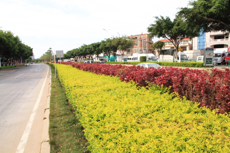 PA旗舰厅(中国区)官方网站 - PlayAce