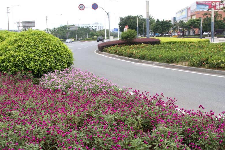 PA旗舰厅(中国区)官方网站 - PlayAce