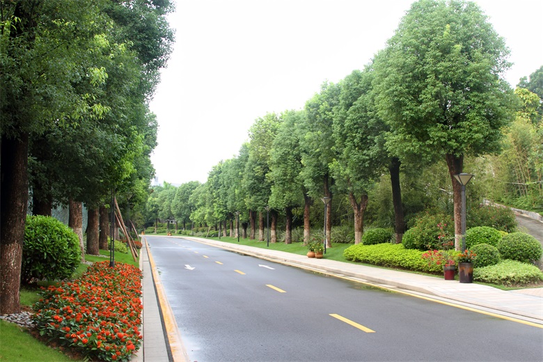 PA旗舰厅(中国区)官方网站 - PlayAce