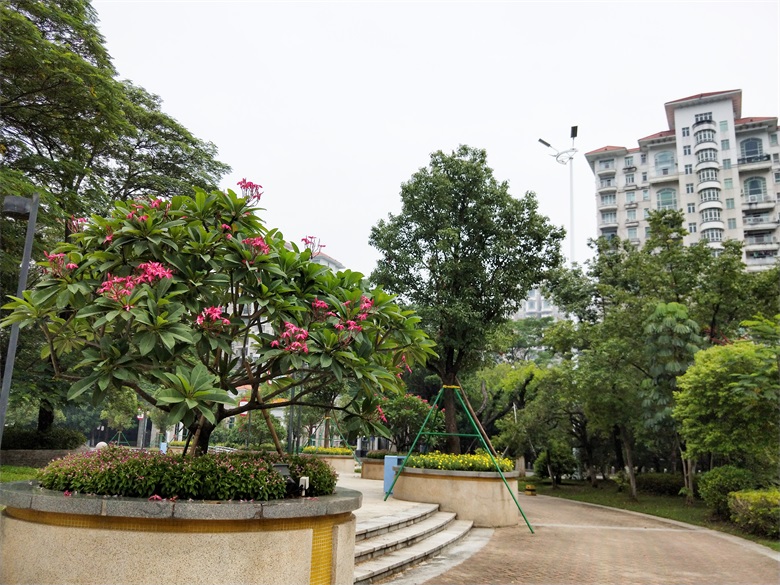 PA旗舰厅(中国区)官方网站 - PlayAce