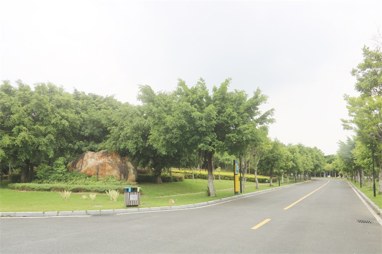 PA旗舰厅(中国区)官方网站 - PlayAce