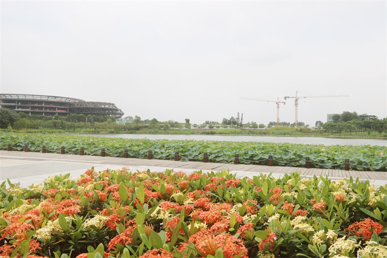 PA旗舰厅(中国区)官方网站 - PlayAce