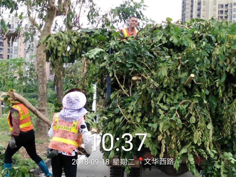 PA旗舰厅(中国区)官方网站 - PlayAce