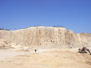 大岭山金裕、永顺石场复绿工程