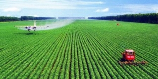 农业农村发展新业态 如何发展好花海经济？