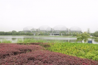 生态园行政岛环境完善工程