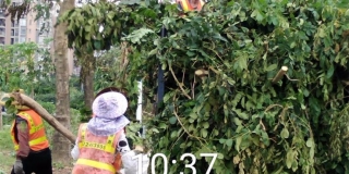 台风“山竹” 肆虐    PA旗舰厅人不惧风雨助力灾后重建