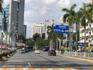 新一期东城街道南区、中心区环卫绿化管养项目