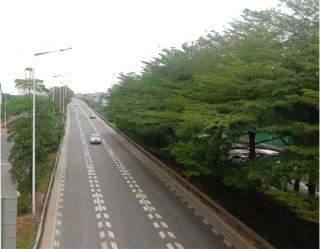 东部快速路东段（含绿化带）环卫保洁