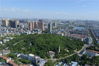 东西湖区吴家山街环卫作业市场化服务公开招标采购项目承包