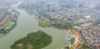 万江区金丰坝新片区环卫作业、绿化养护服务项目