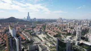 东莞市东城街道新一期环卫绿化管养项目（包3）