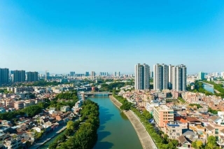 万江街道主次干道环卫绿化保洁项目（金丰坝新片）