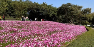 实地督查，细化管理丨东莞PA旗舰厅开展项目巡检工作